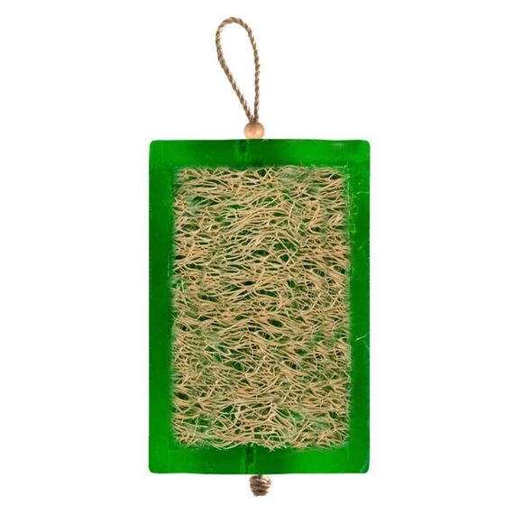 NWT Envy U Green Tea Soap w/ Loofa - Picture 1 of 5